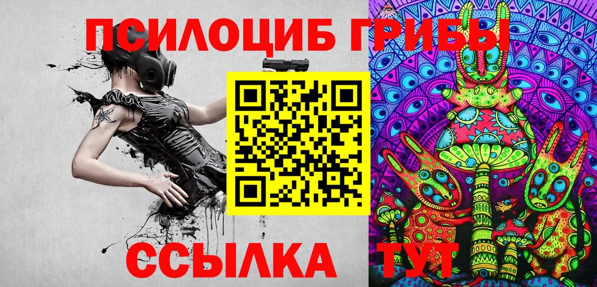 Печора  закладки  Вход с VPN  Псилоцибиновые грибы GOLDEN TEACHER 